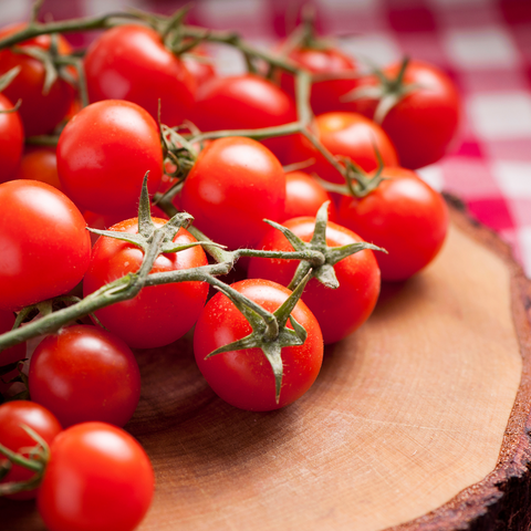 Hydroponic Cherry Tomato