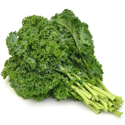 Hydroponic Curly Kale