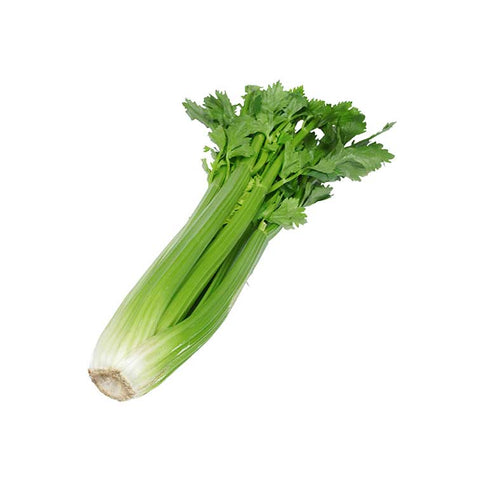 Hydroponic Crisp Celery