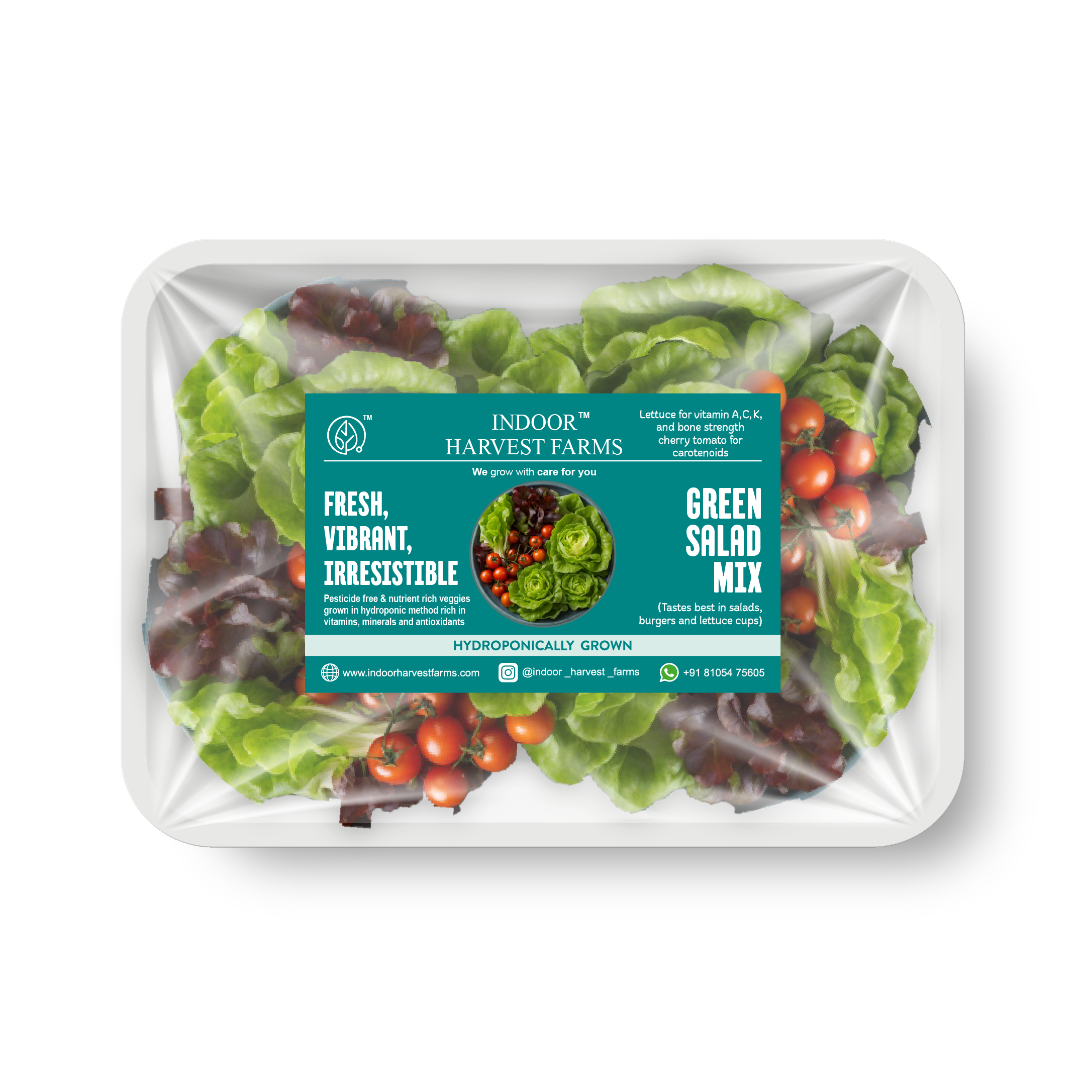Hydroponic Green Salad Mix