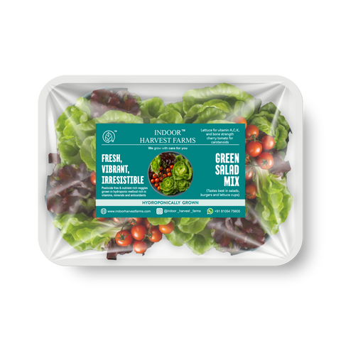 Hydroponic Green Salad Mix