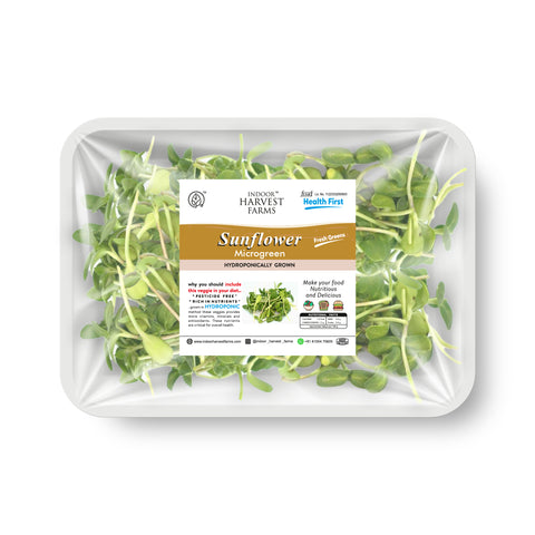 Hydroponic Sunflower (Microgreens)
