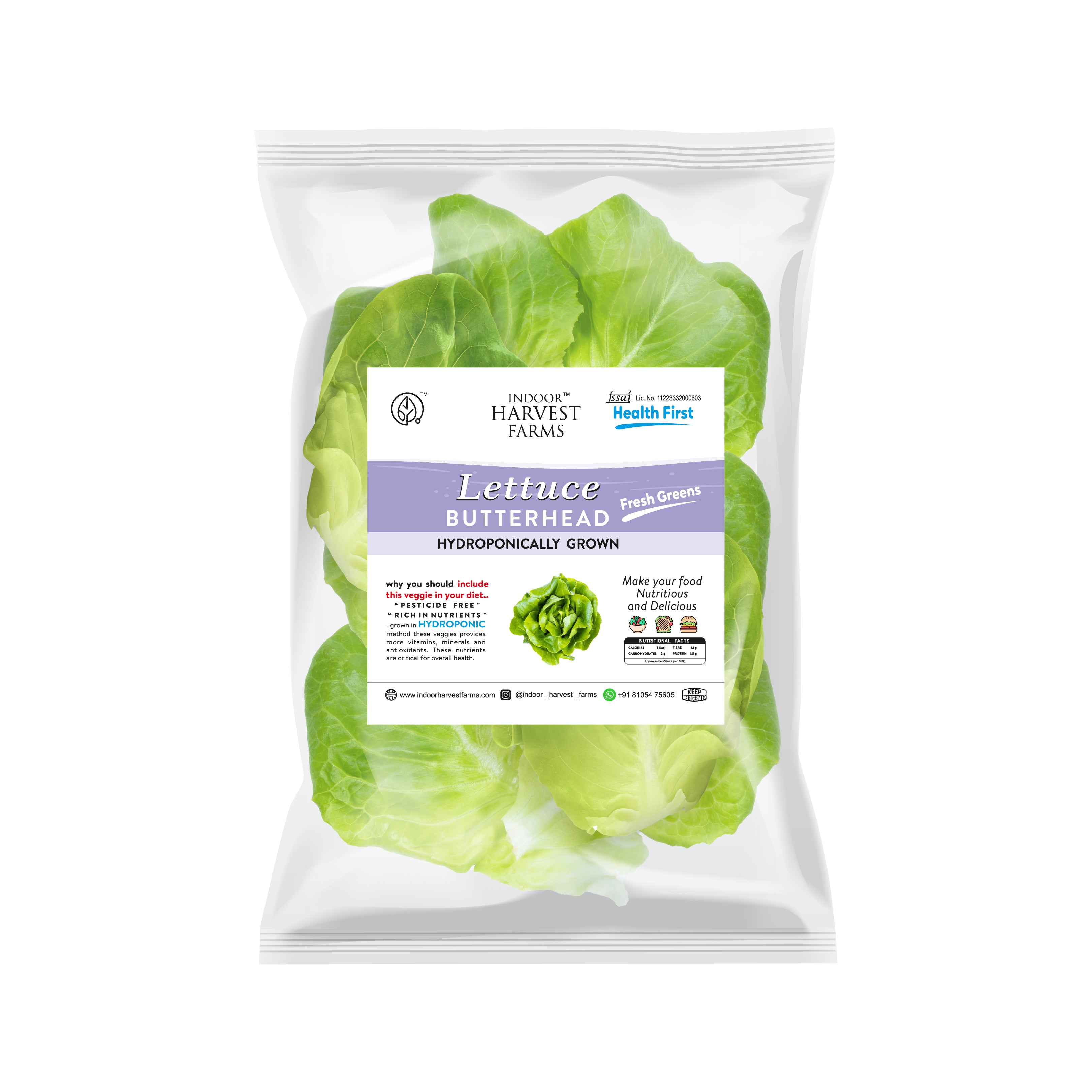 Hydroponic Butterhead Lettuce