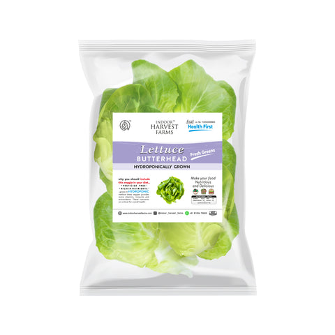 Hydroponic Butterhead Lettuce