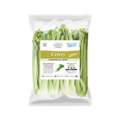 Hydroponic Crisp Celery