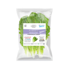 Hydroponic Romaine Lettuce